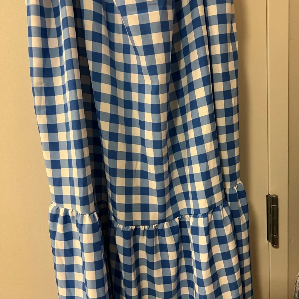 Goodnight Macaroon Blue and White Gingham Maxi Dress - Picture 3 of 7